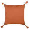 Durdle Embroidered Filled Cushion 45cm x 45cm Ginger