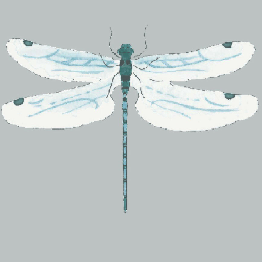 Sophie Allport Dragonfly Made to Measure Blackout Roller Blind Grey Blue