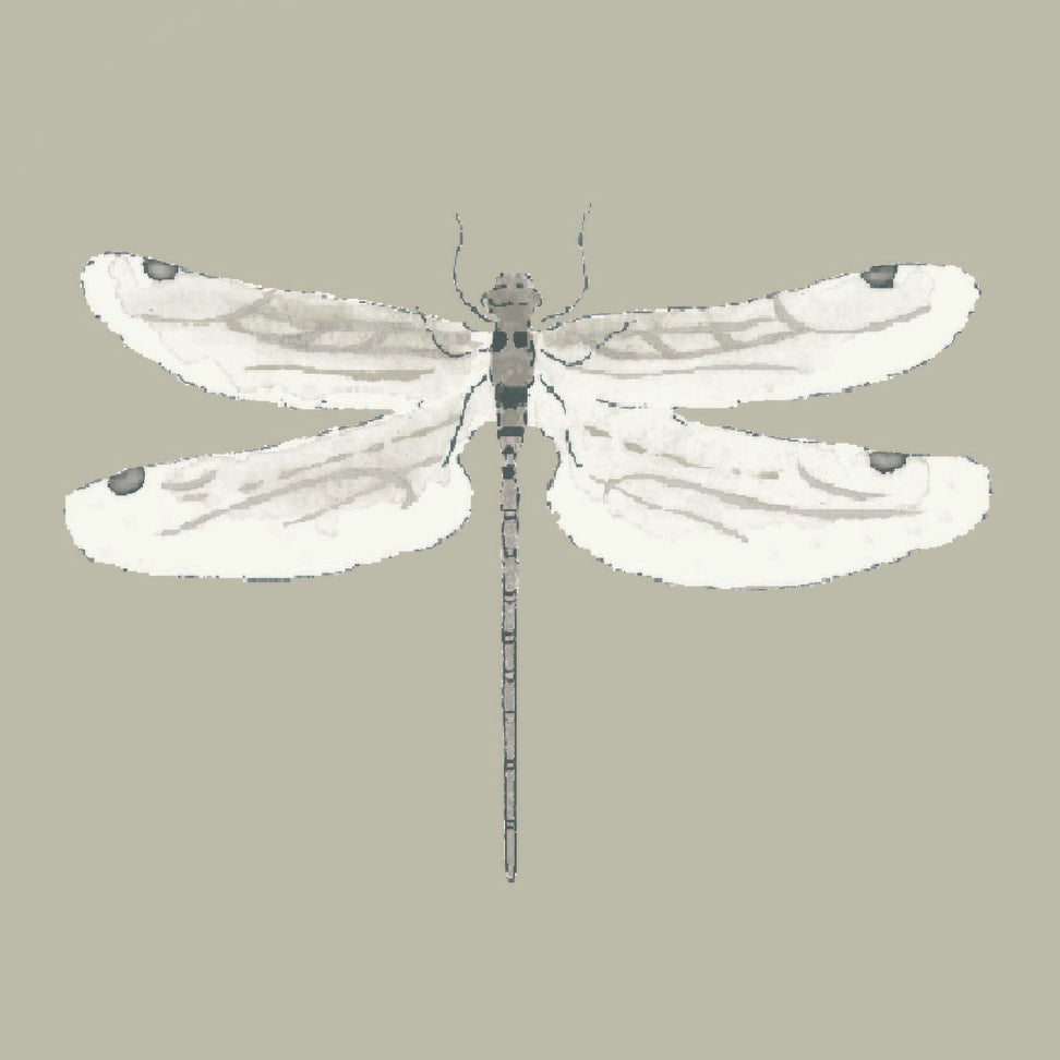 Sophie Allport Dragonfly Made to Measure Roller Blind Sand