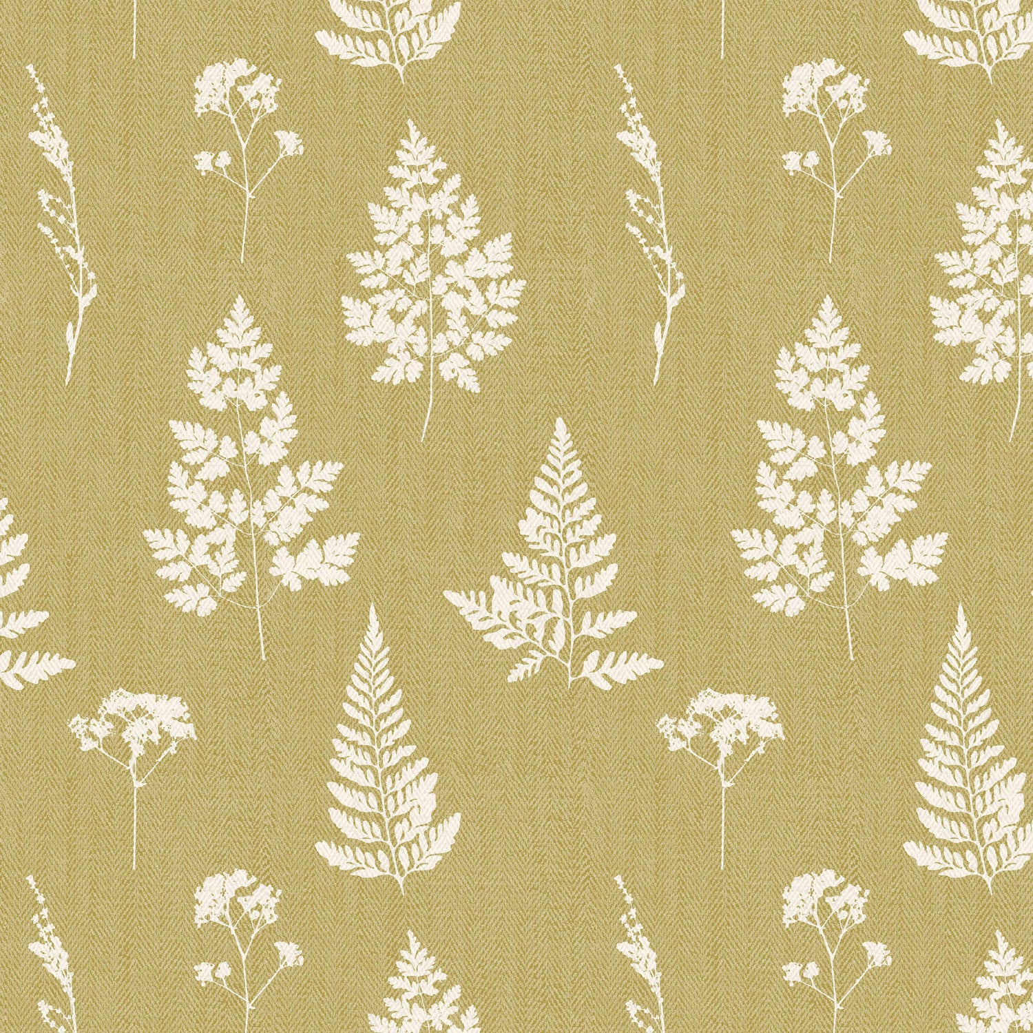 Emily Bond Tynesfield Translucent Made to Measure Roller Blind Pollen