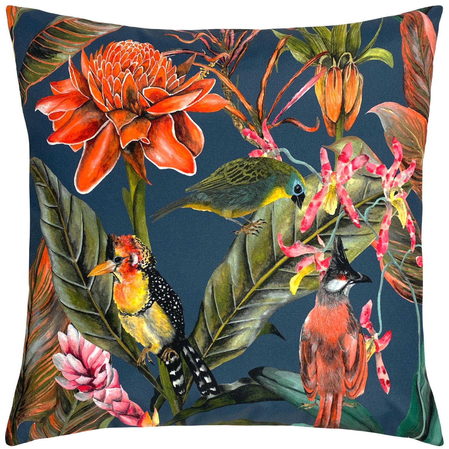 Exotics Twin Pack Outdoor Filled Cushion 43cm x 43cm Multi