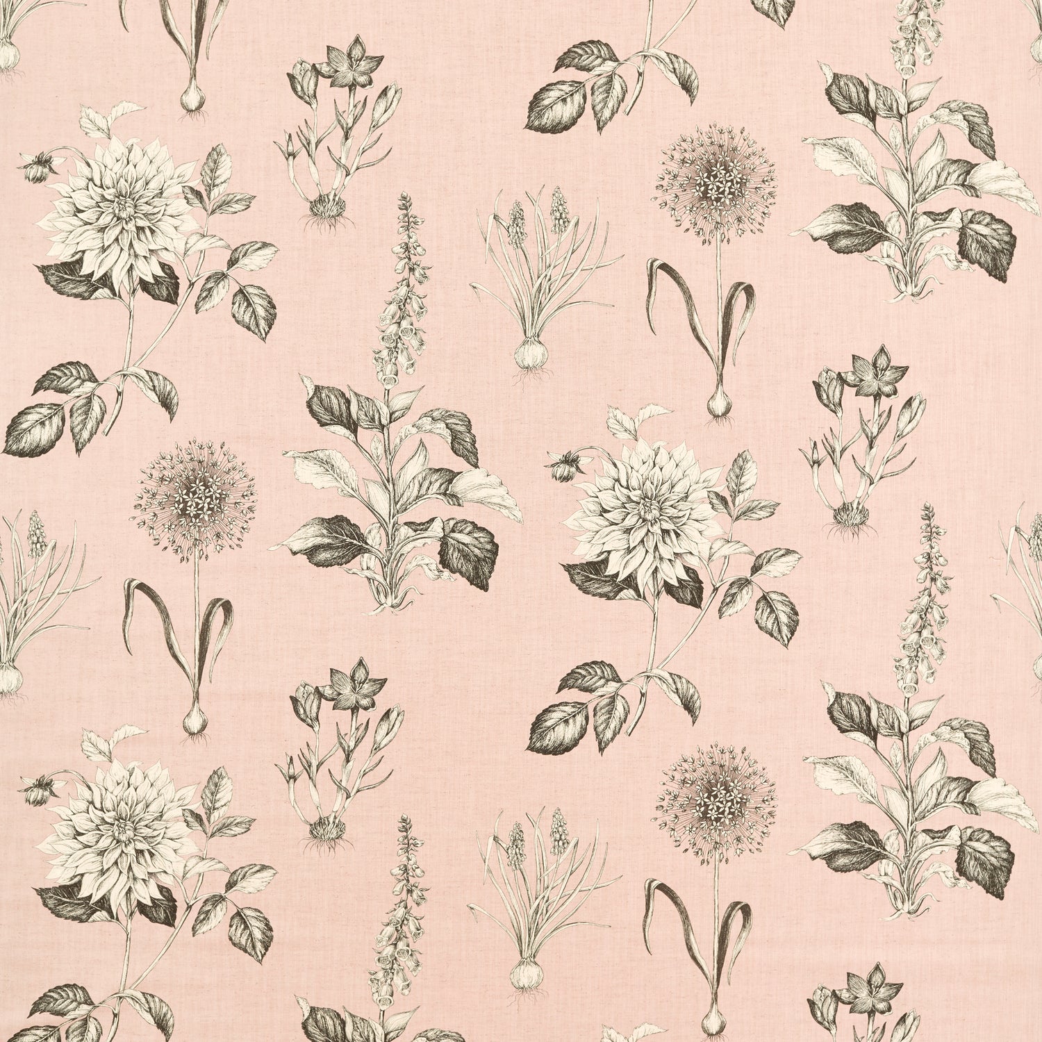 Clarke & Clarke Roseraie Fabric Blush