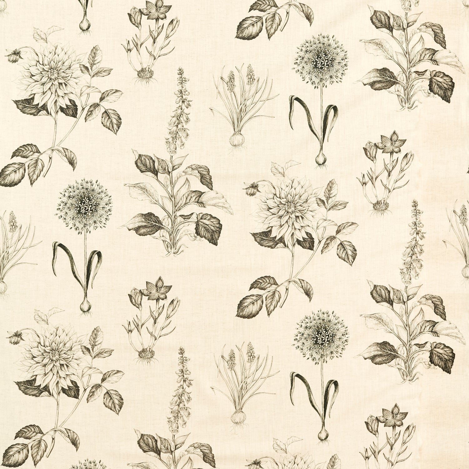 Clarke & Clarke Roseraie Fabric Charcoal