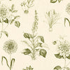 Clarke & Clarke Roseraie Fabric Sage