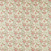Clarke & Clarke Barmeri Fabric Sage Blush