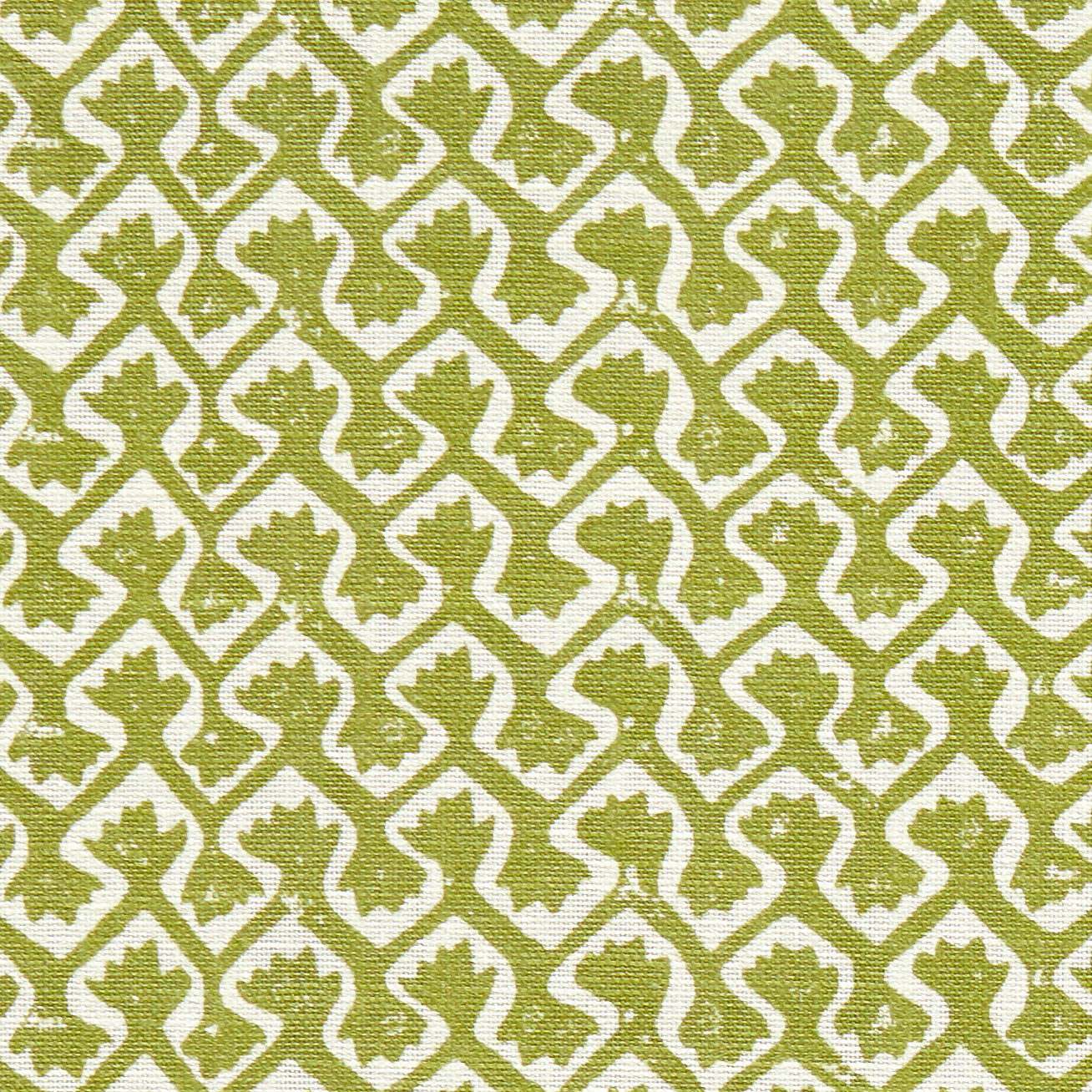Clarke & Clarke Kalpa Fabric Apple
