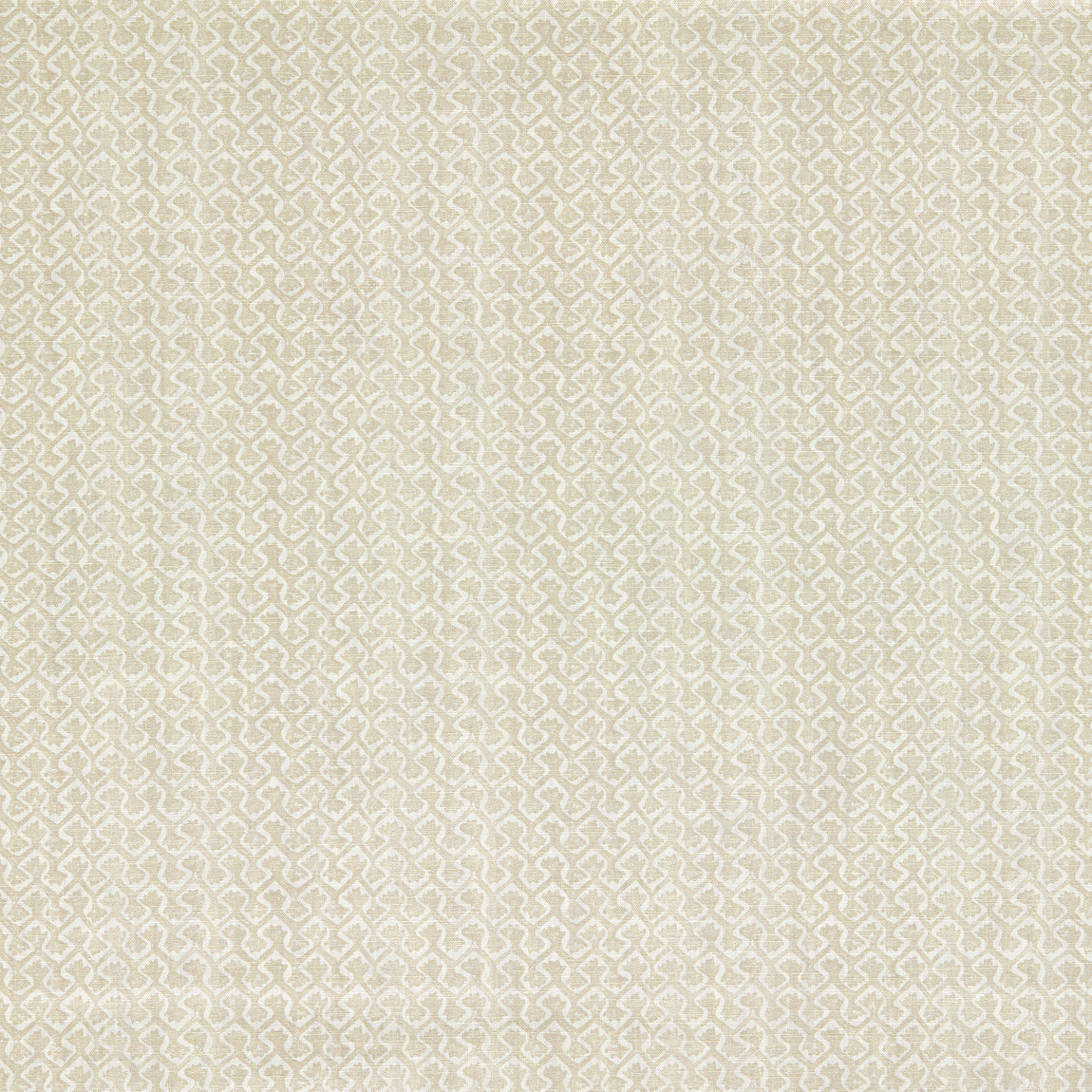 Clarke & Clarke Kalpa Fabric Natural