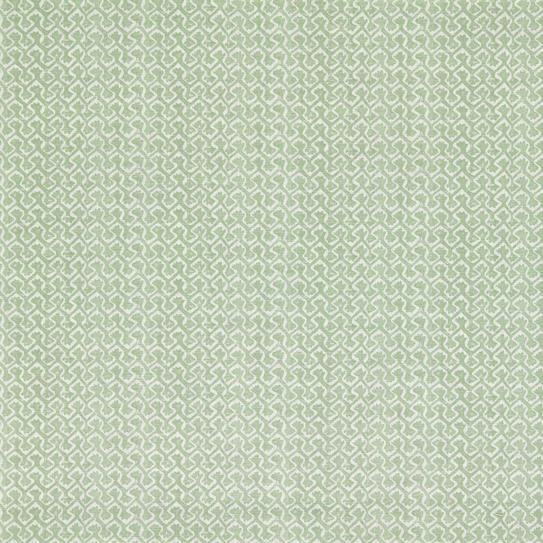 Clarke & Clarke Kalpa Fabric Sage