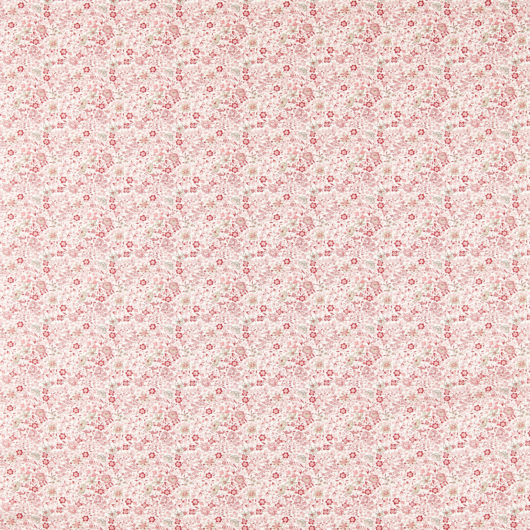 Clarke & Clarke Gamthi Fabric Blush