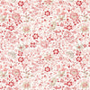 Clarke & Clarke Gamthi Fabric Blush