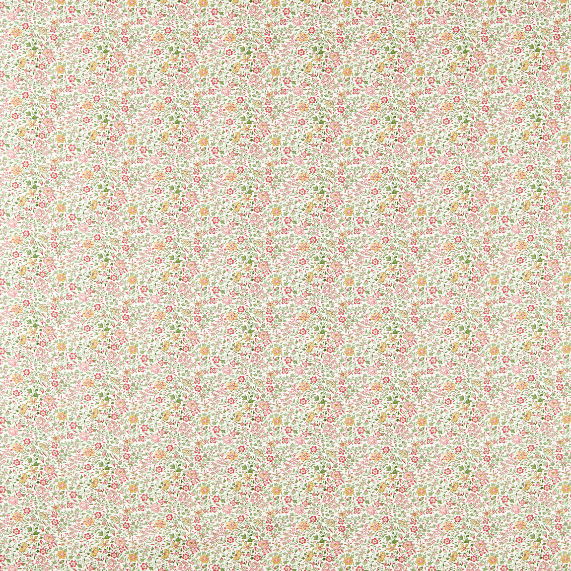 Clarke & Clarke Gamthi Fabric Sage Blush
