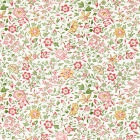 Clarke & Clarke Gamthi Fabric Sage Blush