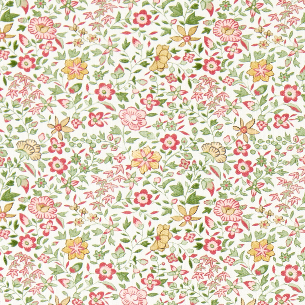 Clarke & Clarke Gamthi Fabric Sage Blush