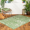 Forage Garden Outdoor Indoor Washable 120cm x 170cm Rug Sage