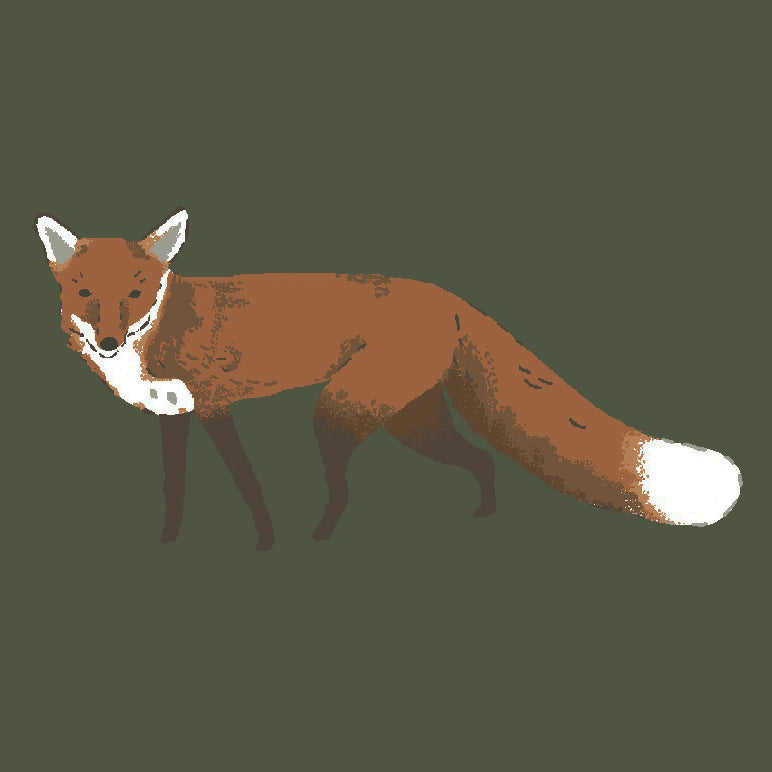 Sophie Allport Foxes Made to Measure Roman Blind Forest Green