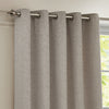 Paoletti Galaxy Chenille Ready Made Eyelet Blockout Curtains Silver