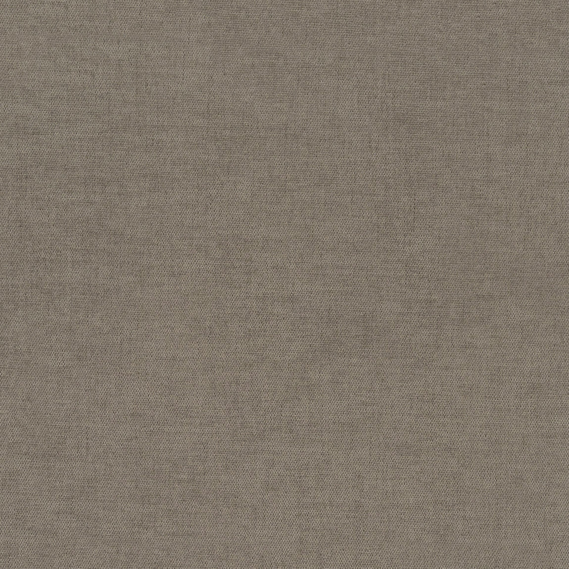 ANTE DECOR Lusso NO JOINS Blackout Made To Measure Curtains Parchment
