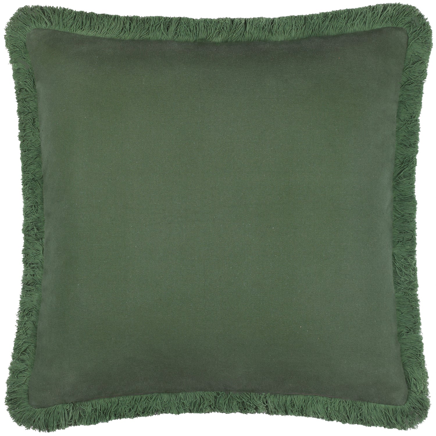 Paoletti Seventy Three Hedera Jacquard 45cm x 45cm Filled Cushion Green