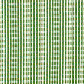 HARLEQUIN Pepita Stripe Fabric Kelly First Light