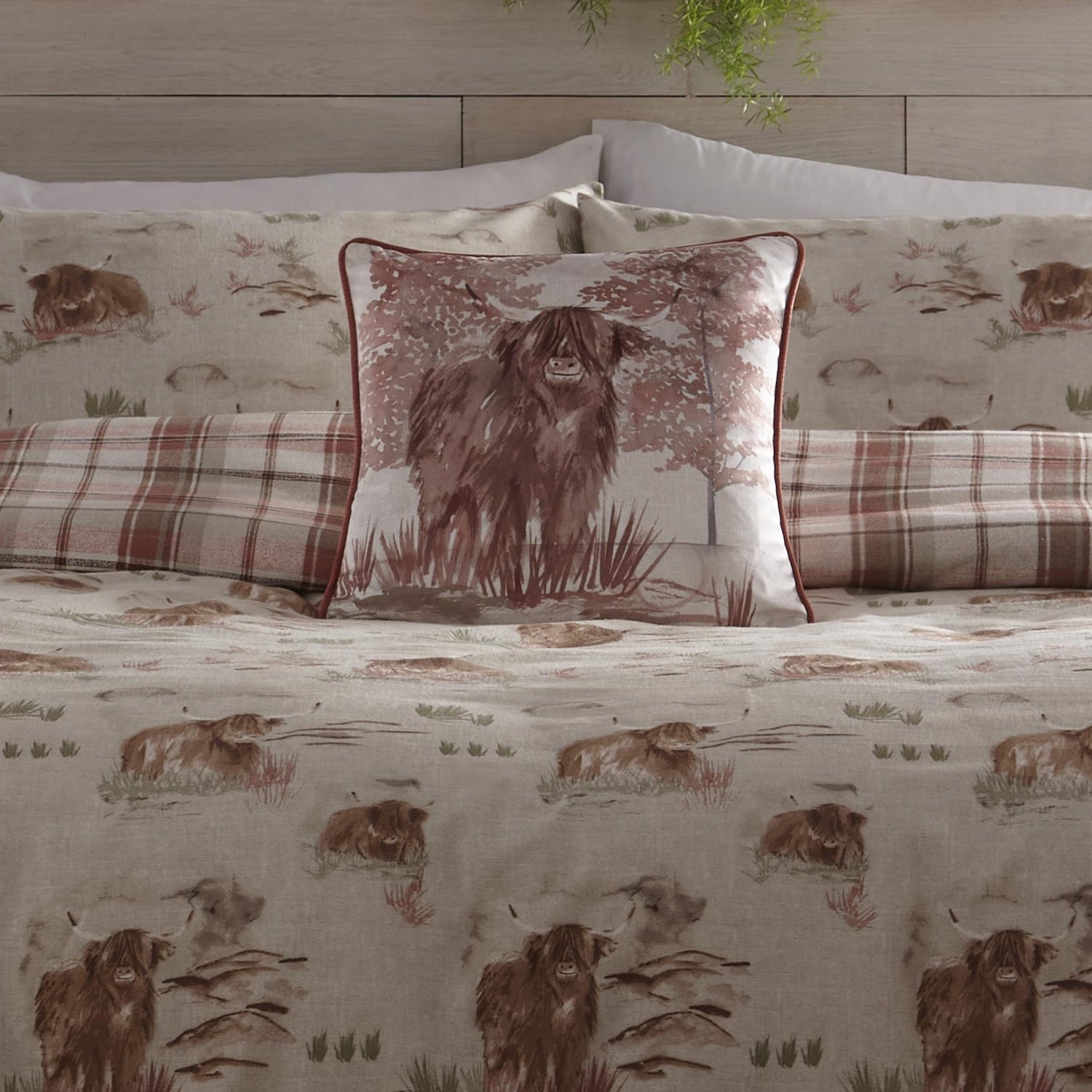 Dreams & Drapes Hanson Highland Cow Filled Cushion 43cm x 43cm Terracotta