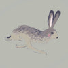 Sophie Allport Hare Made to Measure Roller Blind Dove