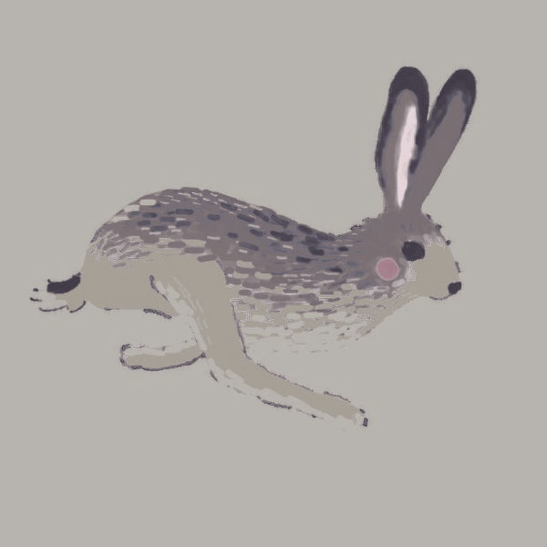Sophie Allport Hare Made to Measure Curtain Linen