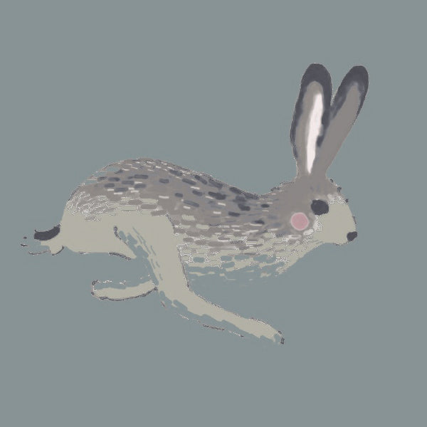 Sophie Allport Hare Made to Measure Roman Blind Teal Blue
