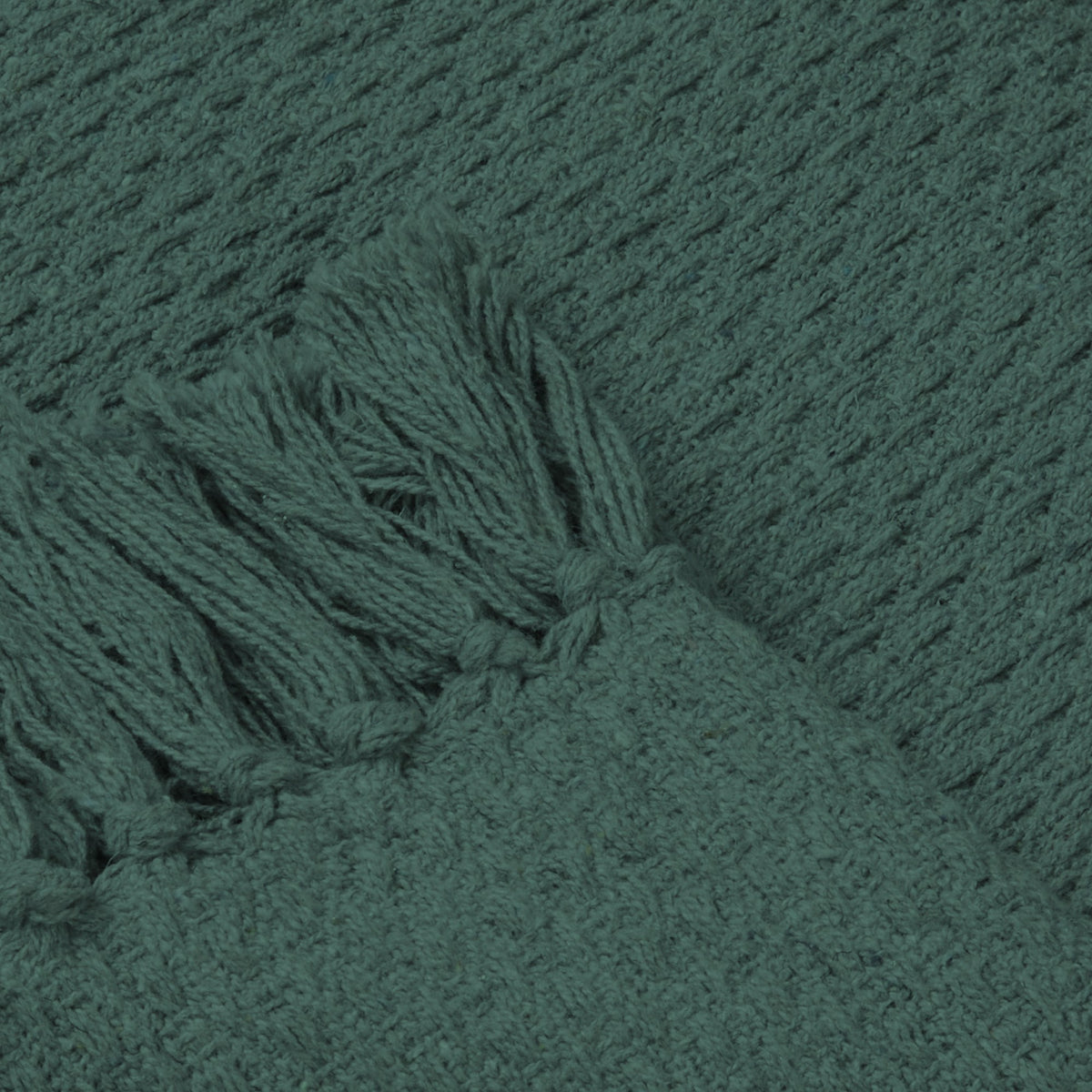Hayden 130cm x 180cm Throw Green