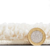 Ideal Shaggy 80262 200cm x 290cm Shaggy Rug Cream