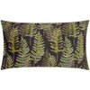 Kielder Forest Fern Night Oxford Edge Velvet 30cm x 50cm Filled Boudoir Black