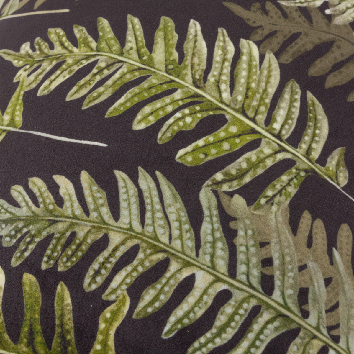 Kielder Forest Fern Night Oxford Edge Velvet 30cm x 50cm Filled Boudoir Black