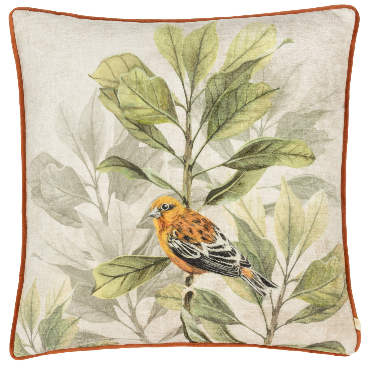 Kielder Forest Swinley Piped Velvet Filled Cushion 43cm x 43cm Cream