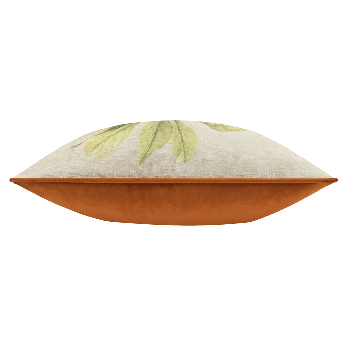 Kielder Forest Swinley Piped Velvet Filled Cushion 43cm x 43cm Cream