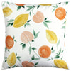 Les Fruits Outdoor Filled Cushion 43cm x 43cm Multi