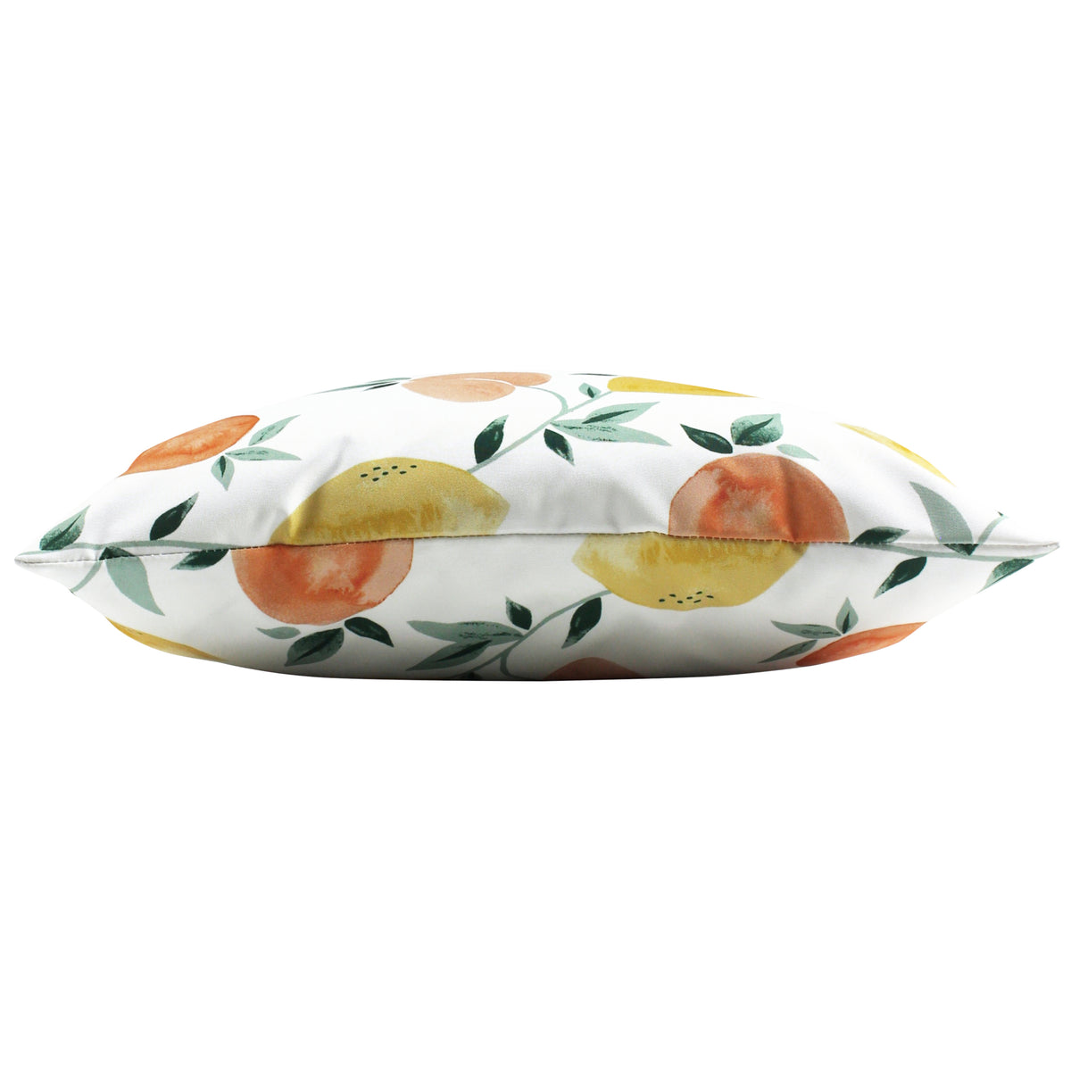Les Fruits Outdoor Filled Cushion 43cm x 43cm Multi