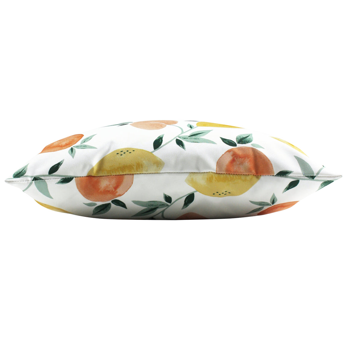 Les Fruits Outdoor Filled Cushion 43cm x 43cm Multi