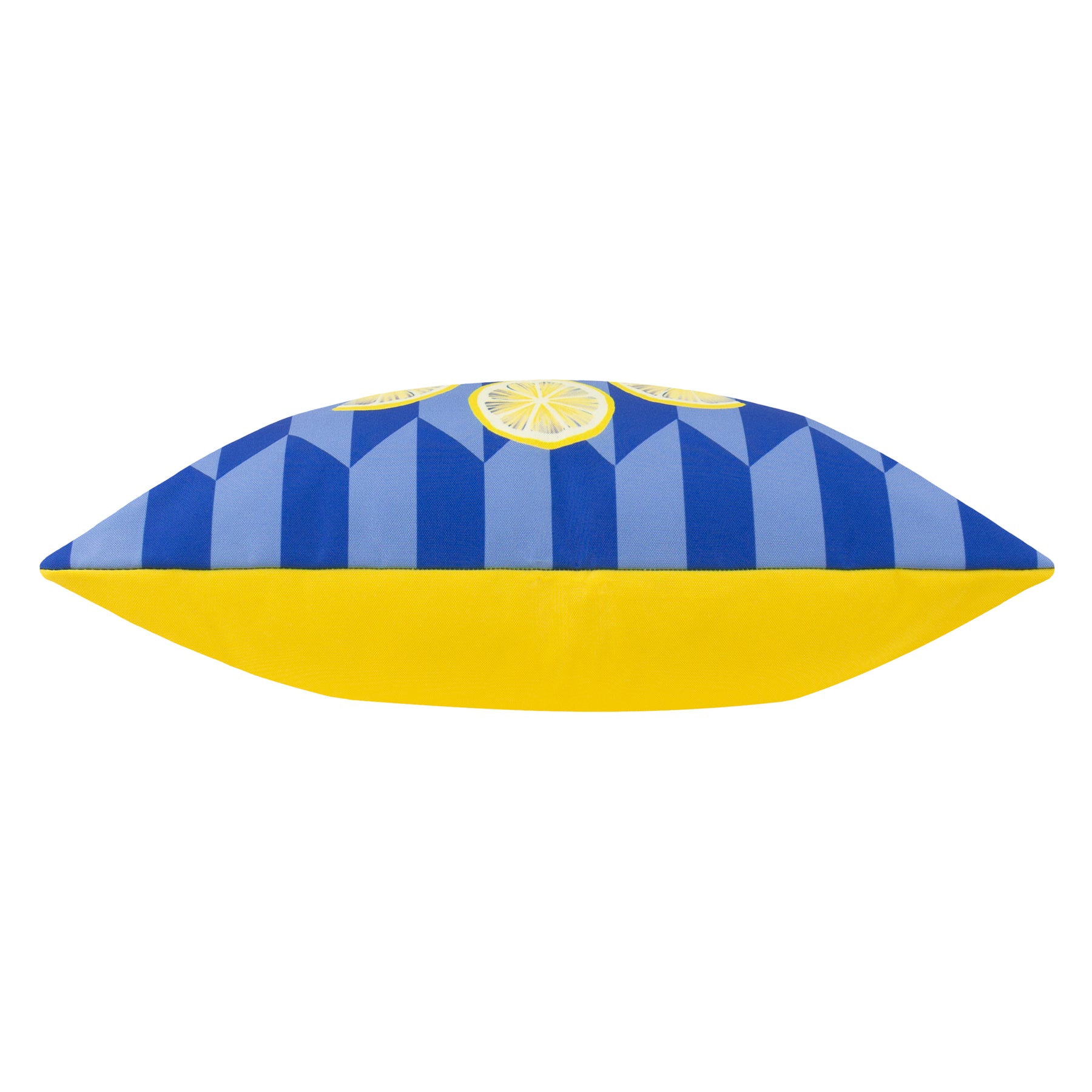 Limoncello Abstract Outdoor Filled Cushion 43cm x 43cm Blue