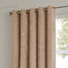Paoletti Lustre Velvet Ready Made Eyelet Curtains Oyster
