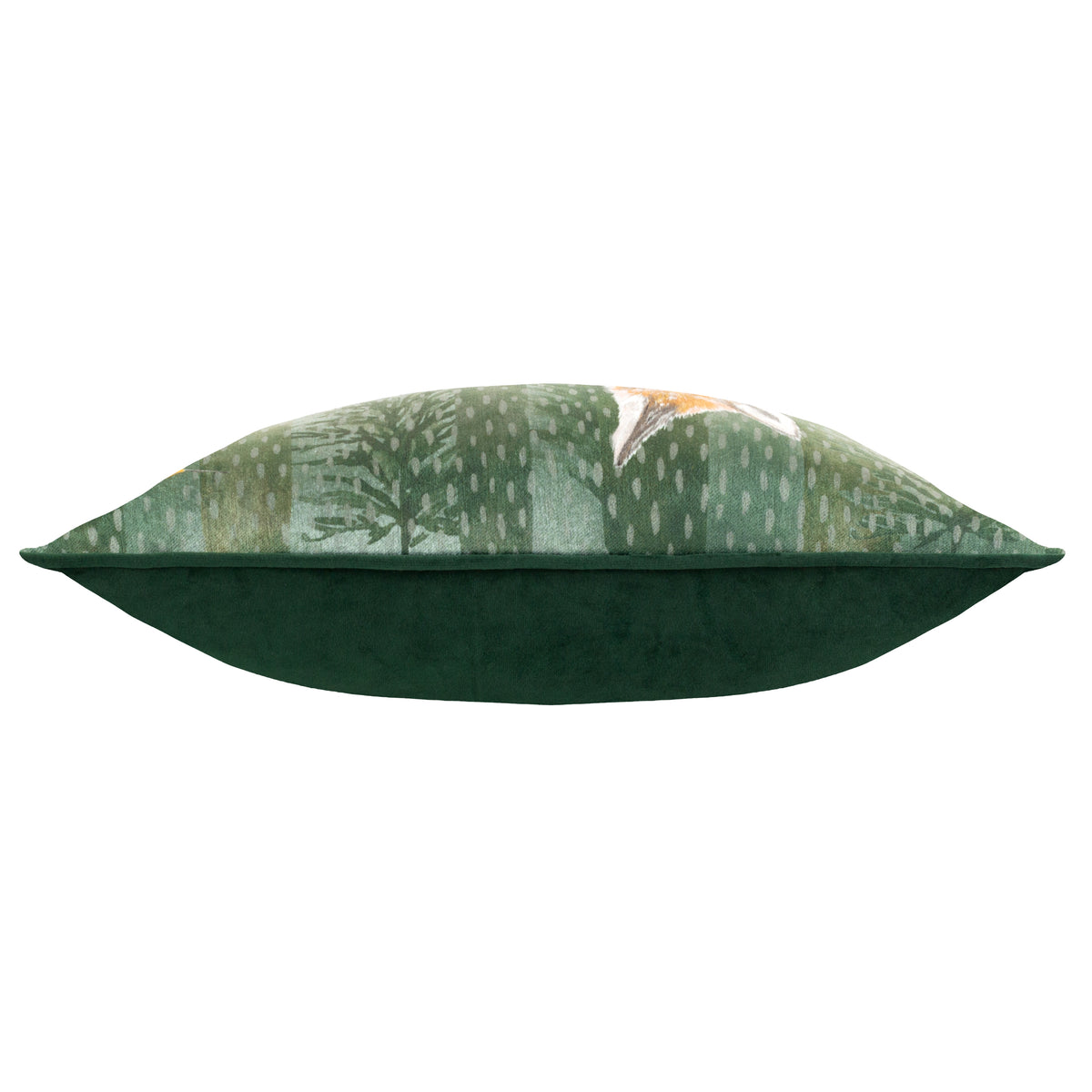 Meadow Bloom Wilds Chenille Piped Filled Cushion 30cm x 50cm Dark Emerald