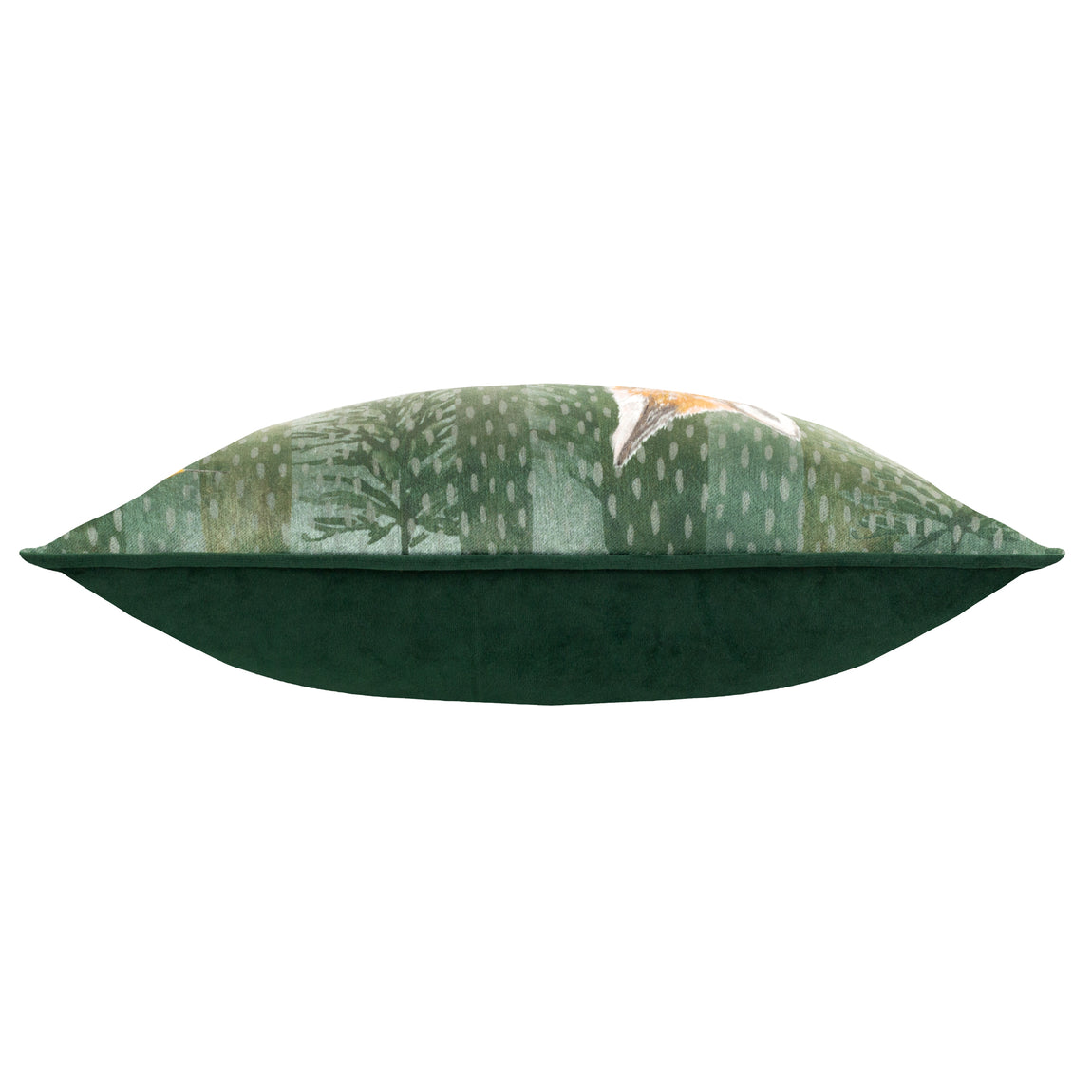Meadow Bloom Wilds Chenille Piped Filled Cushion 30cm x 50cm Dark Emerald