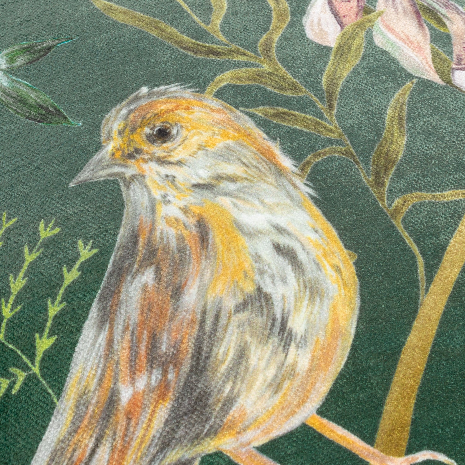 Meadow Bloom Birds Chenille Piped Filled Cushion 43cm x 43cm Teal