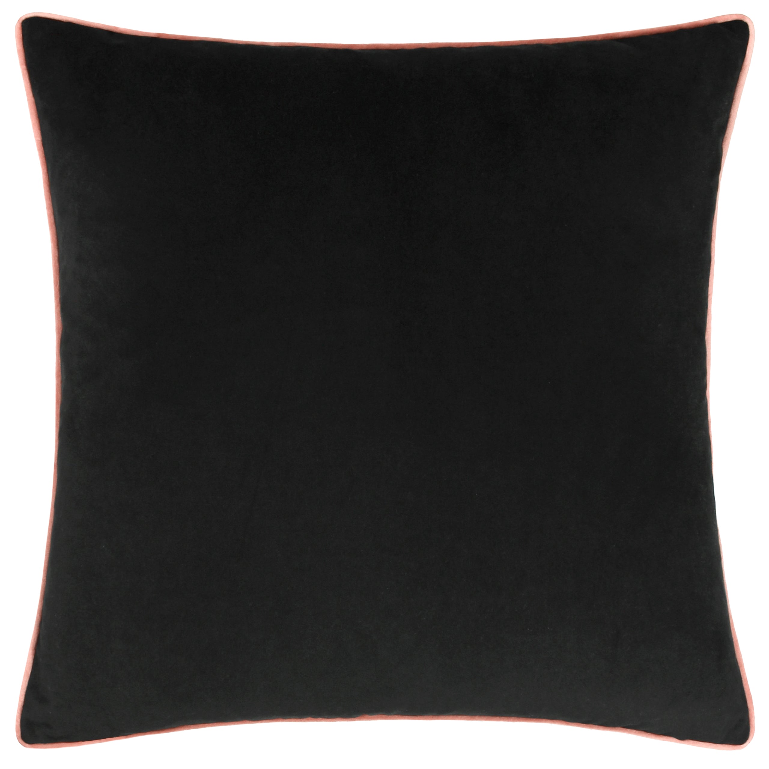 Paoletti Meridian Cuscino In Velluto 55x55 Cm - Morbido E Pieghevole Con Bordo A Contrasto (Colomba D'Argento/Antracite)