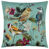 Midnight Garden Birds Outdoor Filled Cushion 43cm x 43cm Aqua