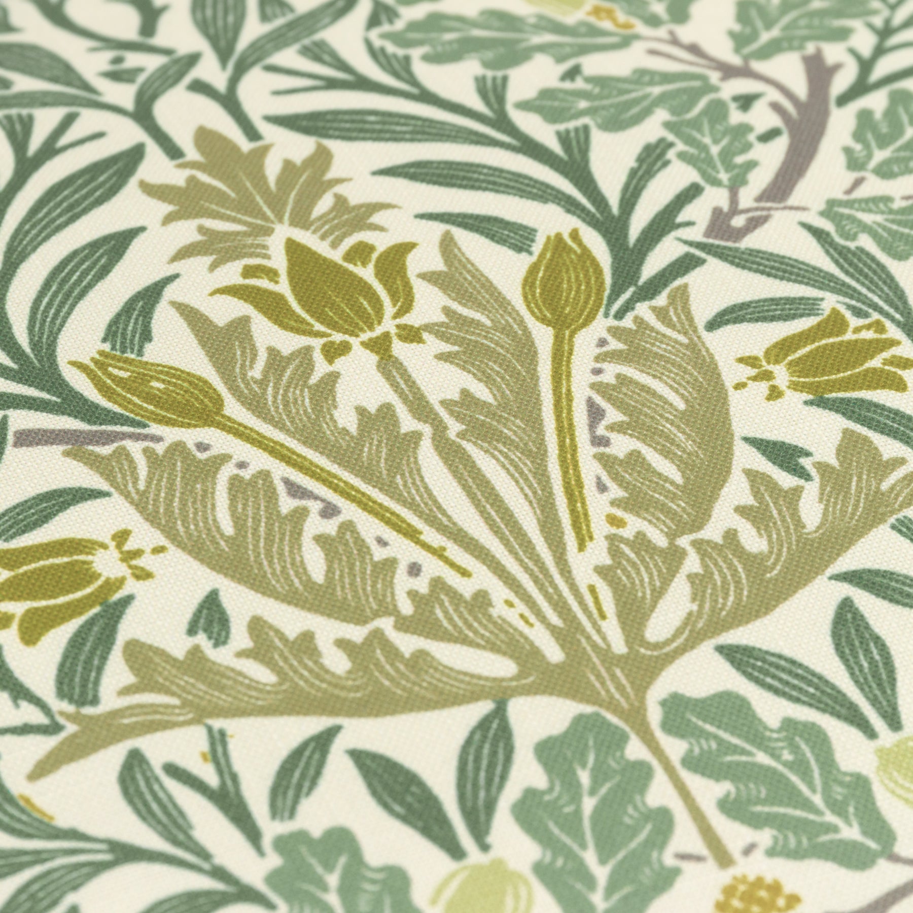 Morris & Co. Multi Acorn Printed Outdoor 45cm x 45cm Filled Cushion Sage Stone