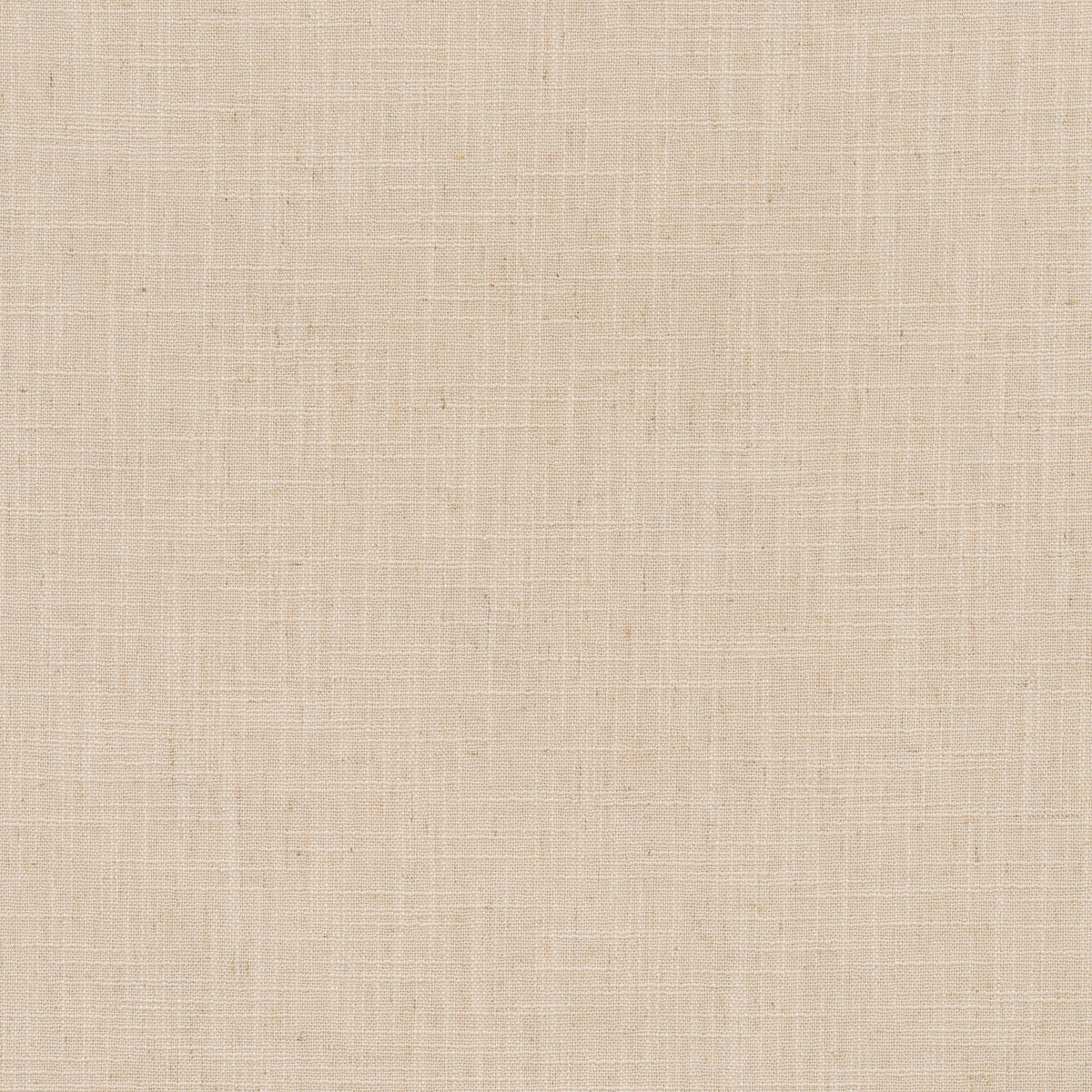 ANTE DECOR Celest NO JOINS Sheer Made To Measure Curtains Cream