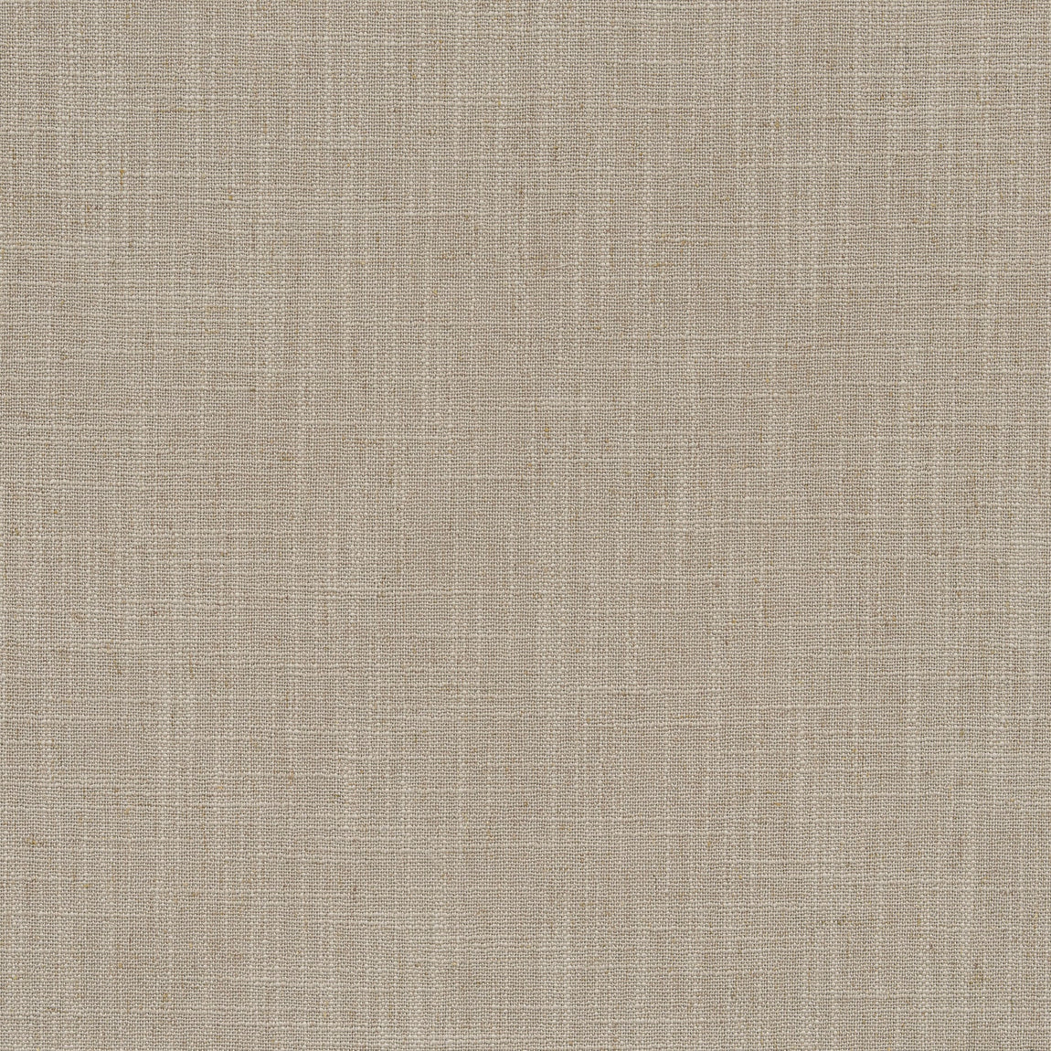 ANTE DECOR Celest NO JOINS Sheer Made To Measure Curtains Taupe