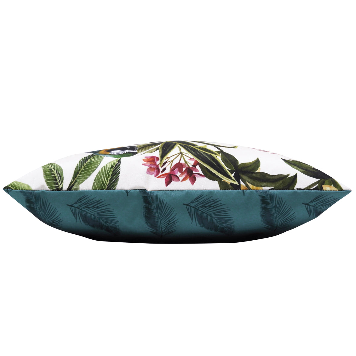 Parrots Outdoor Filled Cushion 43cm x 43cm Multi Teal