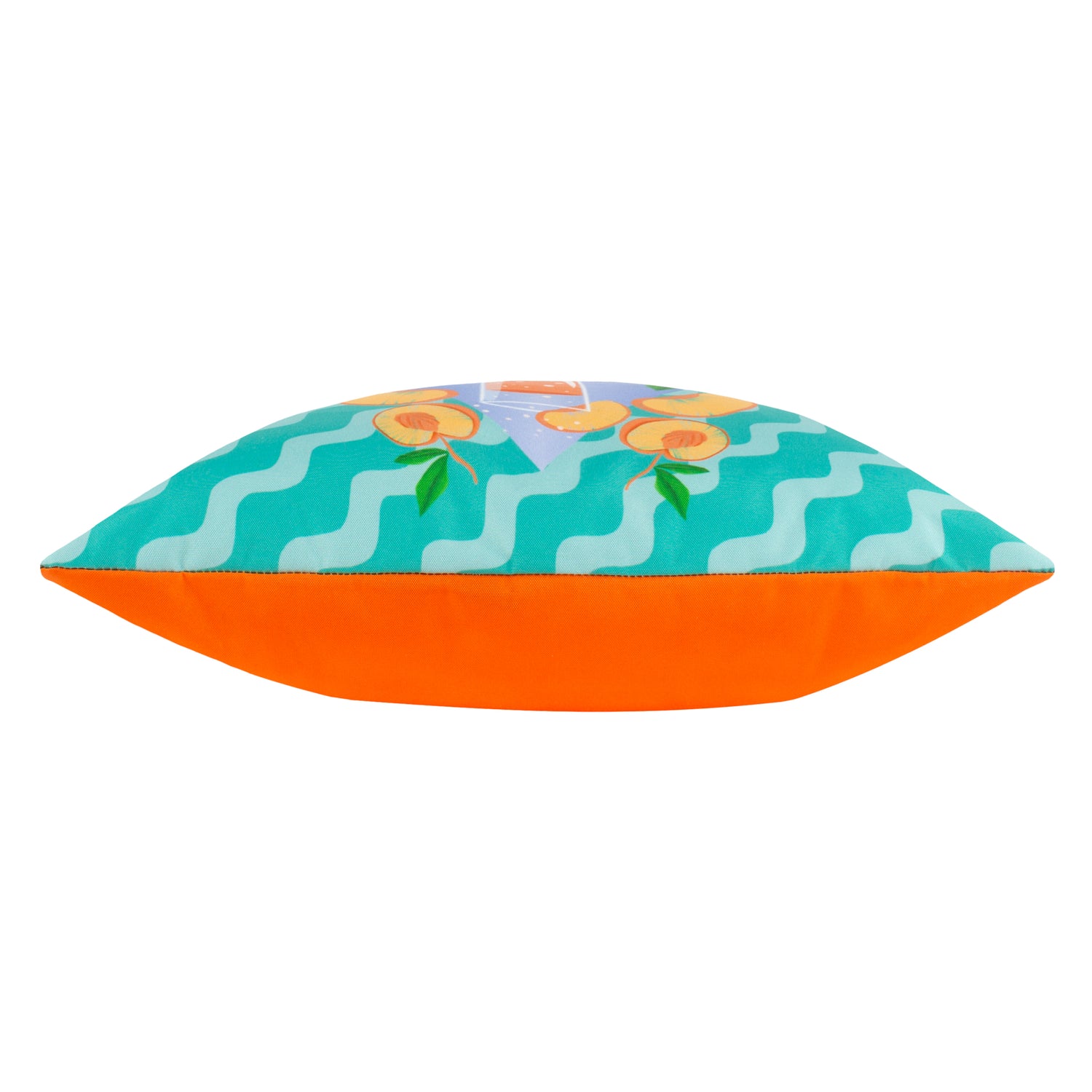 Peachy Abstract Outdoor Filled Cushion 43cm x 43cm Aqua