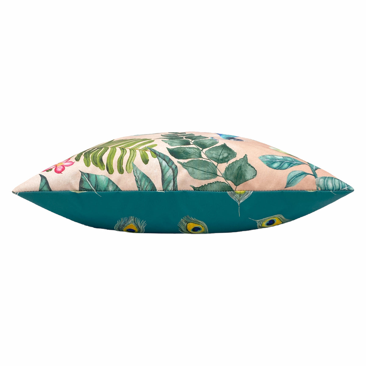 Peacock Outdoor Filled Cushion 43cm x 43cm Blush