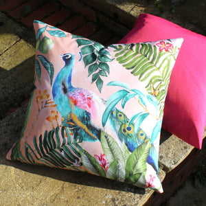 Peacock 43cm From £17.30